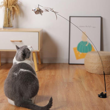 Sisi Bird Interactive Cat Toy Cat Toys KittyNook